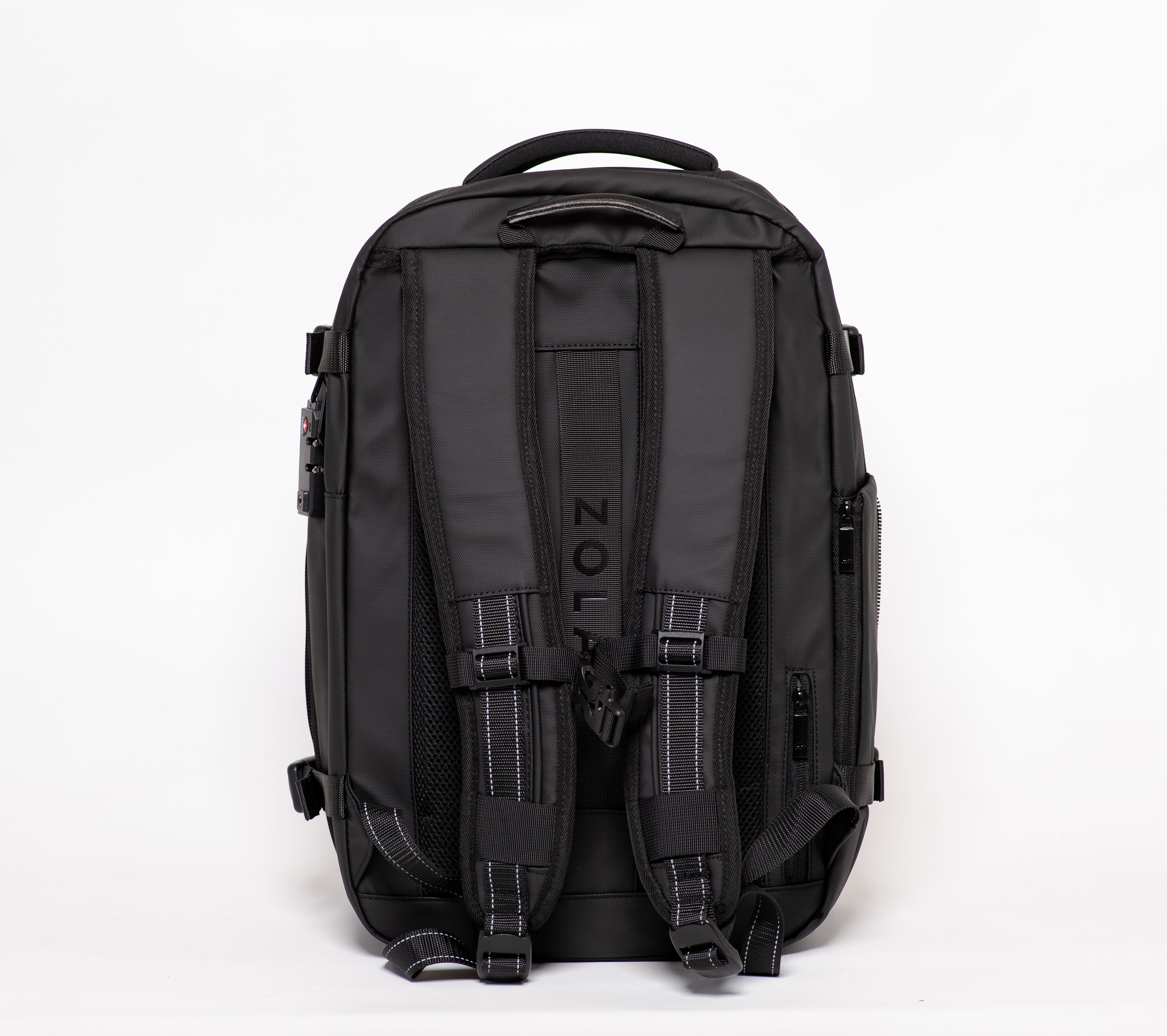 #color_black-bear